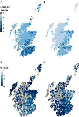 The Use of Sheep Movement Data to Inform Design and Interpretation of Slaughterhouse-Based Surveillance Activities